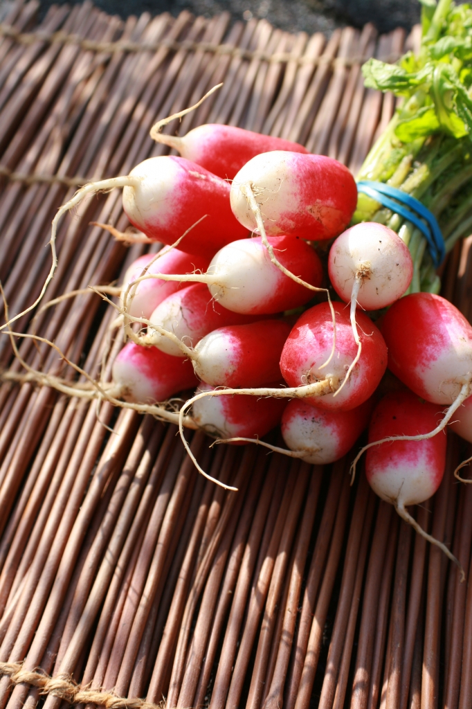 radishes