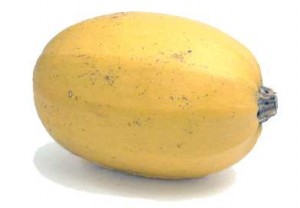 spaghetti squash