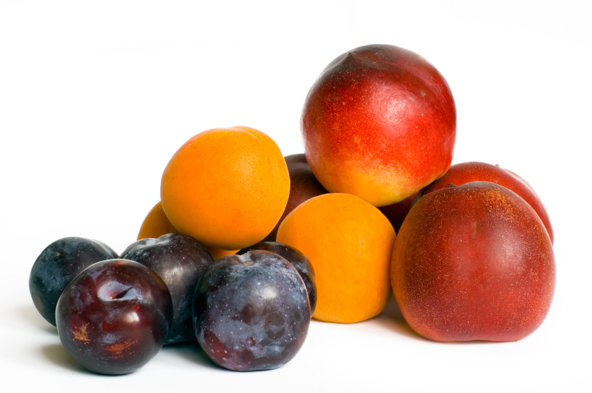 stone fruit